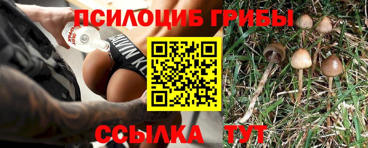 Псилоцибиновые грибы мухоморы Вичуга