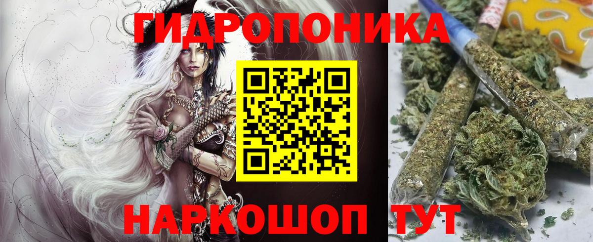 Вичуга  Бошки Шишки White Widow  Бошки марихуана конопля  Шишки марихуана OG Kush  Вход с VPN 